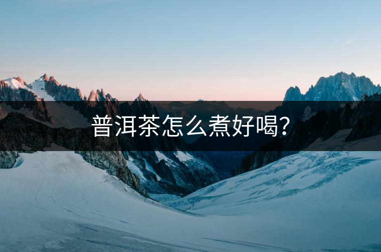 普洱茶怎么煮好喝？