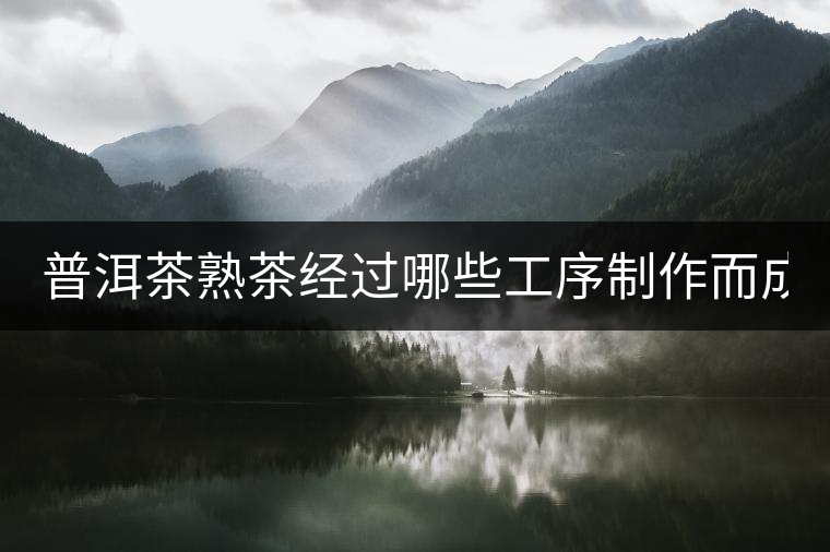 普洱茶熟茶經(jīng)過哪些工序制作而成？