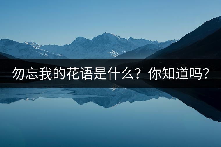 勿忘我的花語是什么？你知道嗎？