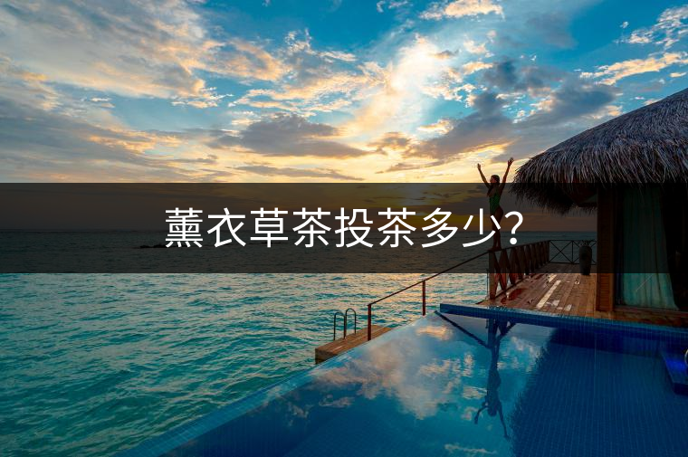 薰衣草茶投茶多少？