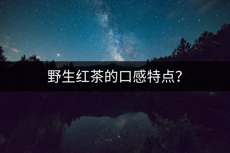 野生紅茶的口感特點？
