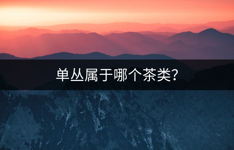 單叢屬于哪個茶類？