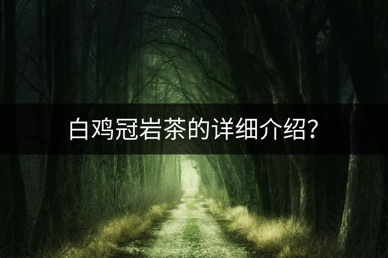 白雞冠巖茶的詳細(xì)介紹？