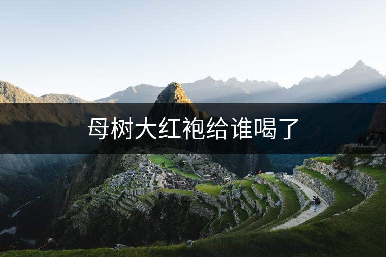 母樹大紅袍給誰喝了 母樹大紅袍給誰喝了