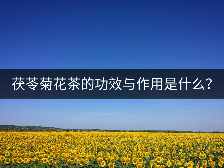 茯苓菊花茶的功效與作用是什么？