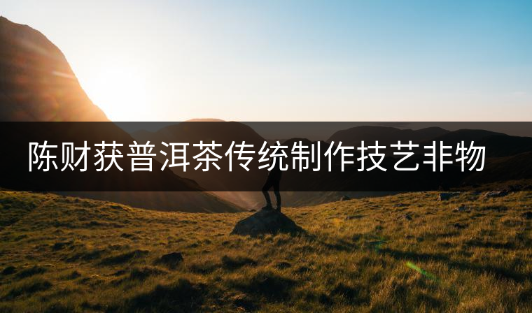 陳財(cái)獲普洱茶傳統(tǒng)制作技藝非物質(zhì)文化遺產(chǎn)傳承人榮譽(yù)稱號(hào)