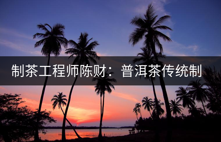 制茶工程師陳財(cái):普洱茶傳統(tǒng)制作技藝要不斷繼承與保護(hù) 制茶工程師陳財(cái):普洱茶傳統(tǒng)制作技藝要不斷繼承與保護(hù)