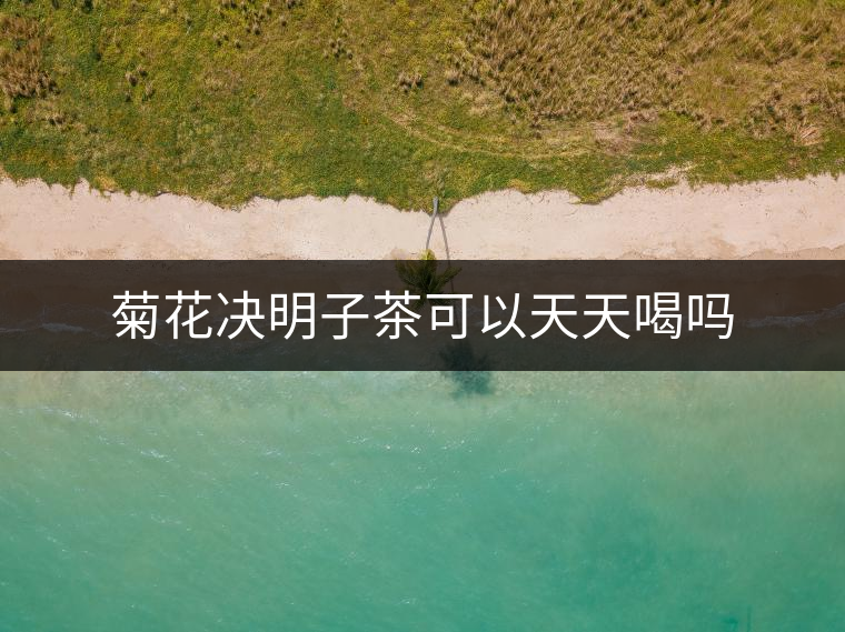菊花決明子茶可以天天喝嗎