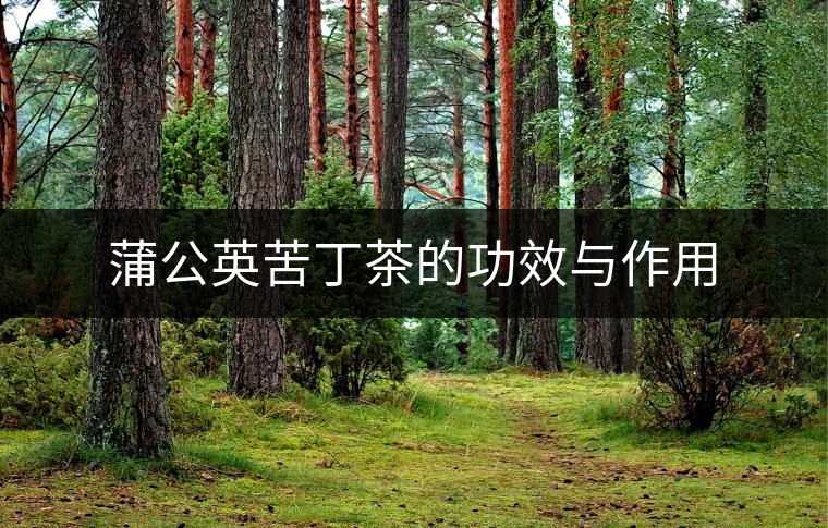 蒲公英苦丁茶的功效與作用 蒲公英苦丁茶的功效與作用