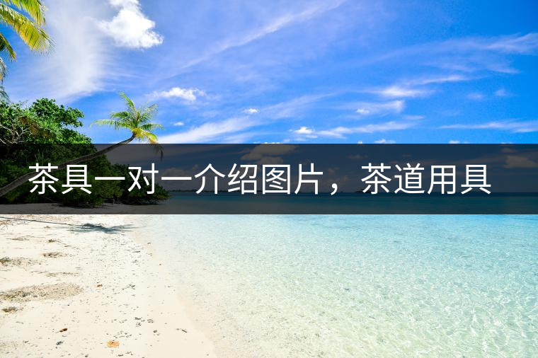 茶具一對(duì)一介紹圖片，茶道用具圖解