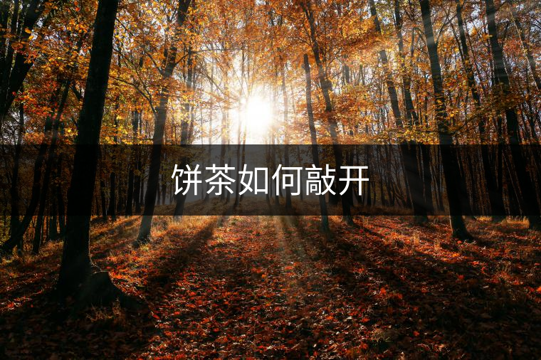 餅茶如何敲開 餅茶如何敲開