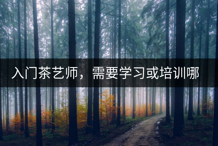 入門茶藝師，需要學習或培訓哪些知識