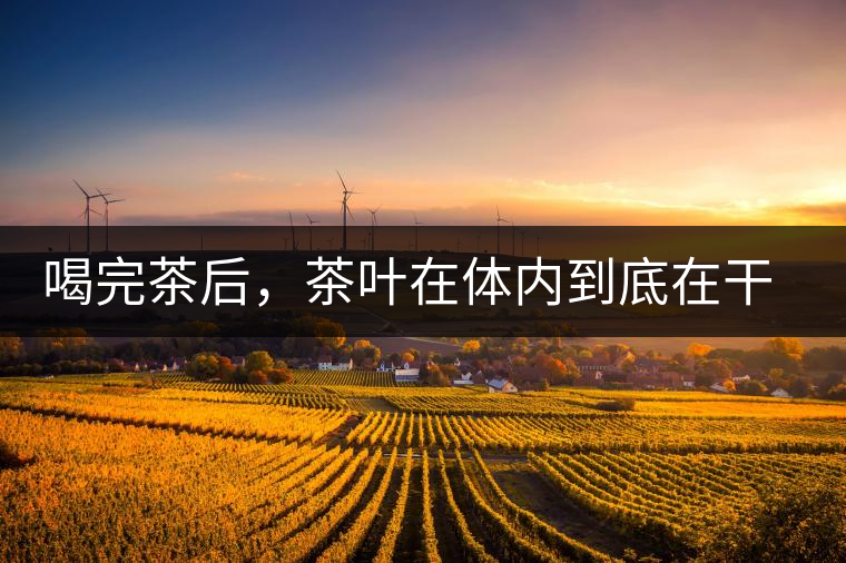 喝完茶后，茶葉在體內(nèi)到底在干嘛，游走的茶水