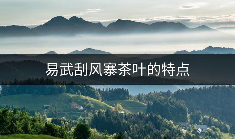 易武刮風(fēng)寨茶葉的特點 易武刮風(fēng)寨茶葉的特點