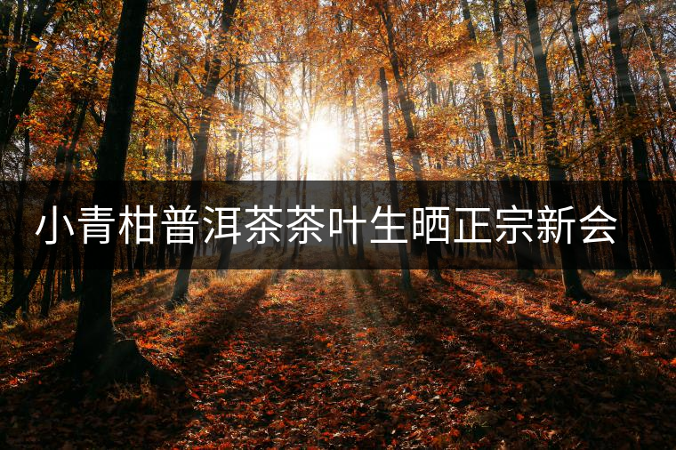 小青柑普洱茶茶葉生曬正宗新會特級柑普陳年熟茶陳皮桔普散裝罐裝 小青柑普洱茶茶葉生曬正宗新會特級柑普陳年熟茶陳皮桔普散裝罐裝