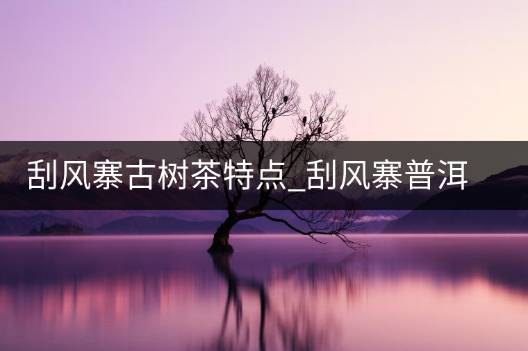 刮風寨古樹茶特點_刮風寨普洱茶口感 刮風寨古樹茶特點_刮風寨普洱茶口感