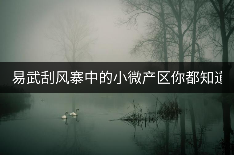 易武刮風(fēng)寨中的小微產(chǎn)區(qū)你都知道嗎？