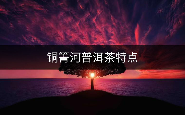 銅箐河普洱茶特點