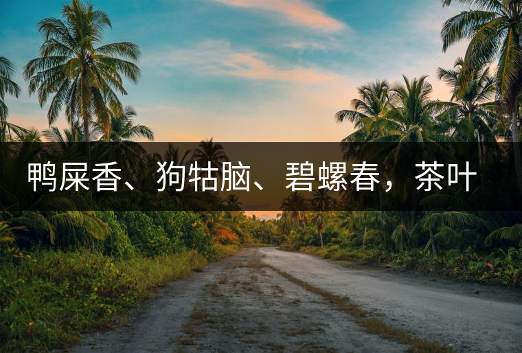 鴨屎香、狗牯腦、碧螺春，茶葉到底是如何被命名的