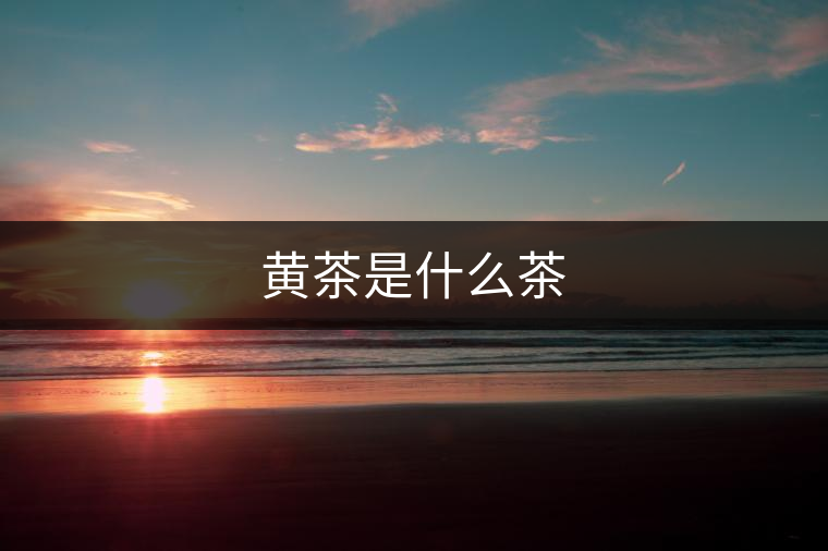 黃茶是什么茶 黃茶是什么茶