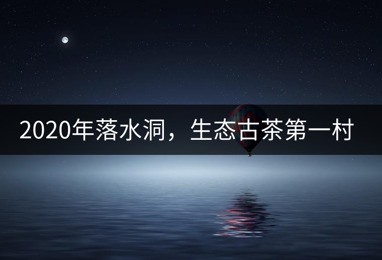 2020年落水洞，生態(tài)古茶第一村-易武中聘號(hào)