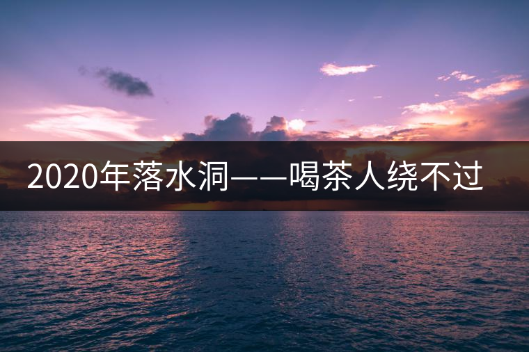 2020年落水洞——喝茶人繞不過的溫柔鄉(xiāng)！-易武中聘號