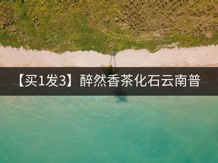 【買1發(fā)3】醉然香茶化石云南普洱茶碎銀子古樹茶糯米香茶葉共375g 【買1發(fā)3】醉然香茶化石云南普洱茶碎銀子古樹茶糯米香茶葉共375g