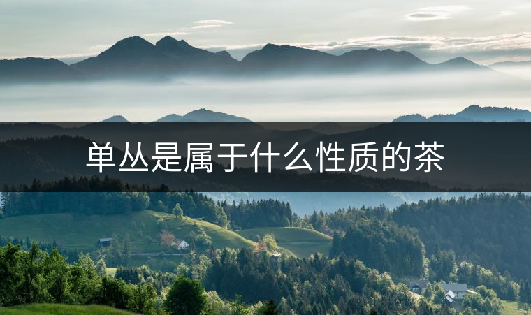 單叢是屬于什么性質(zhì)的茶