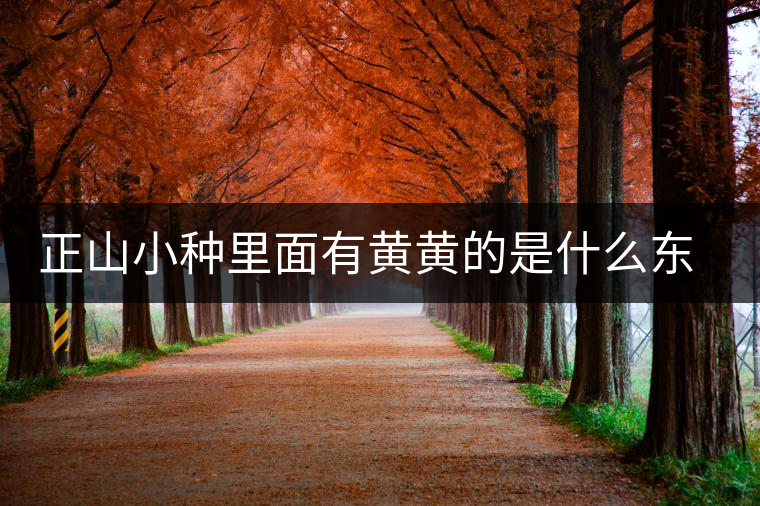 正山小種里面有黃黃的是什么東西 正山小種里面有黃黃的是什么東西