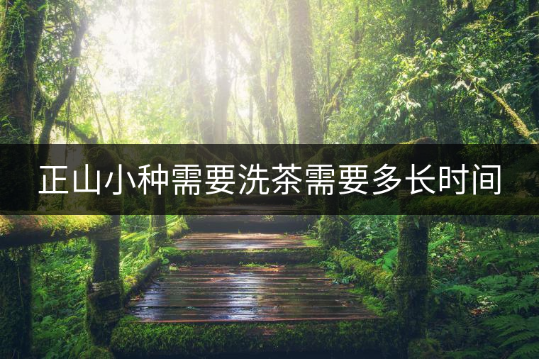 正山小種需要洗茶需要多長時間 正山小種需要洗茶需要多長時間