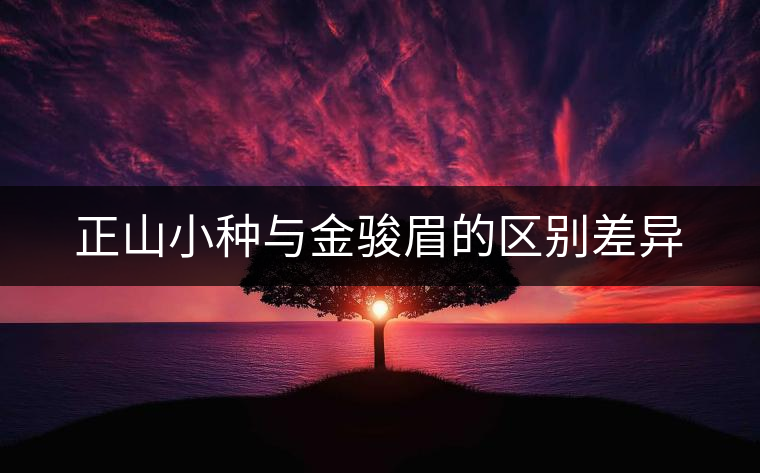 正山小種與金駿眉的區(qū)別差異 正山小種與金駿眉的區(qū)別差異
