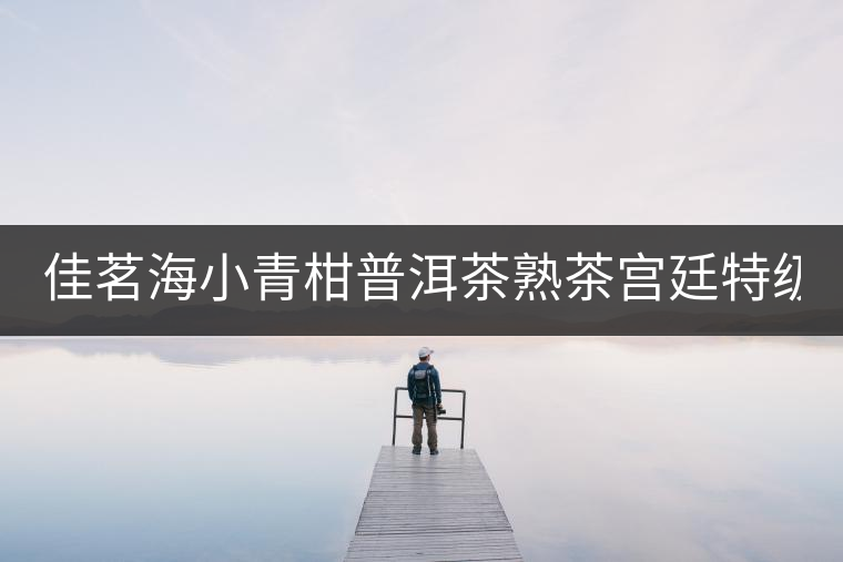 佳茗海小青柑普洱茶熟茶宮廷特級新會桔橘陳皮古樹普洱茶葉600g 佳茗海小青柑普洱茶熟茶宮廷特級新會桔橘陳皮古樹普洱茶葉600g