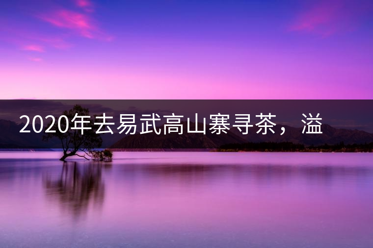 2020年去易武高山寨尋茶，溢滿茶香的古樹寨子-易武中聘號