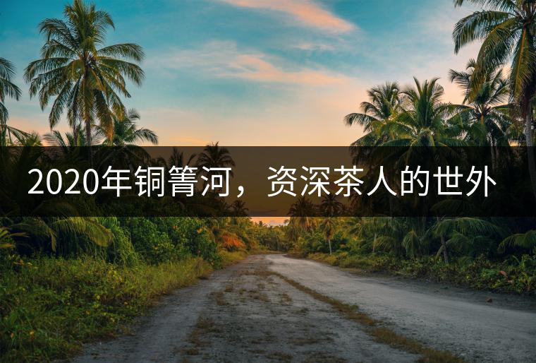 2020年銅箐河，資深茶人的世外桃源-易武-易武中聘號