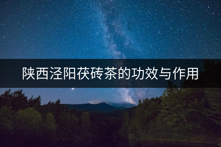 陜西涇陽(yáng)茯磚茶的功效與作用