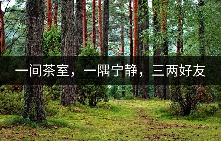 一間茶室，一隅寧靜，三兩好友