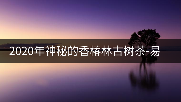 2020年神秘的香椿林古樹茶-易武中聘號(hào) 2020年神秘的香椿林古樹茶-易武中聘號(hào)