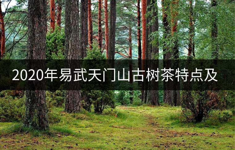 2020年易武天門(mén)山古樹(shù)茶特點(diǎn)及價(jià)格-易武中聘號(hào) 2020年易武天門(mén)山古樹(shù)茶特點(diǎn)及價(jià)格-易武中聘號(hào)