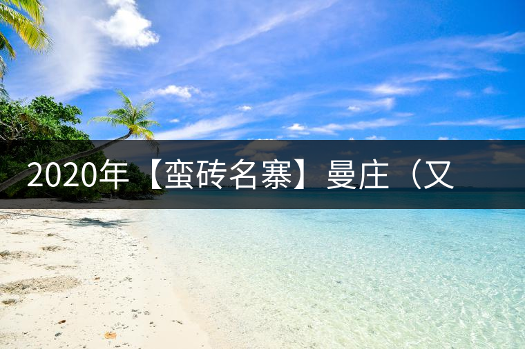2020年【蠻磚名寨】曼莊（又作：蠻磚、曼磚）-易武中聘號