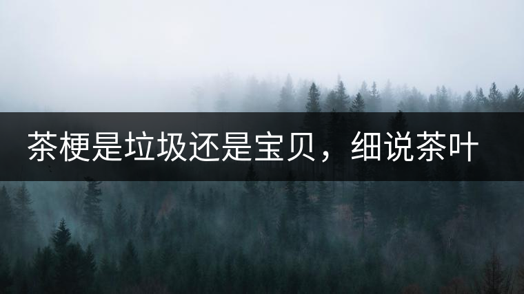 茶梗是垃圾還是寶貝，細(xì)說茶葉的那些梗