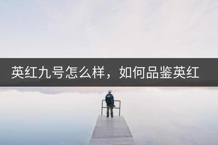 英紅九號怎么樣，如何品鑒英紅九號紅茶
