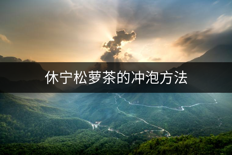 休寧松蘿茶的沖泡方法 休寧松蘿茶的沖泡方法
