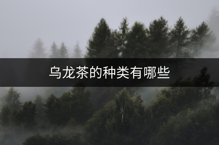 烏龍茶的種類(lèi)有哪些 烏龍茶的種類(lèi)有哪些