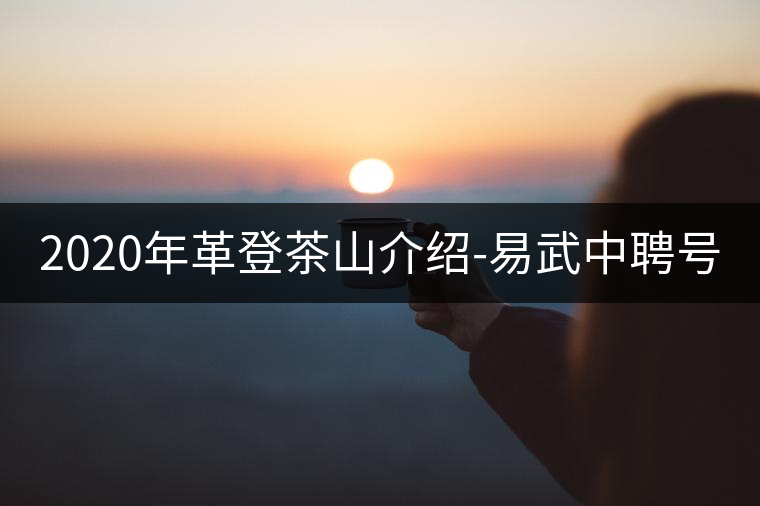 2020年革登茶山介紹-易武中聘號(hào)