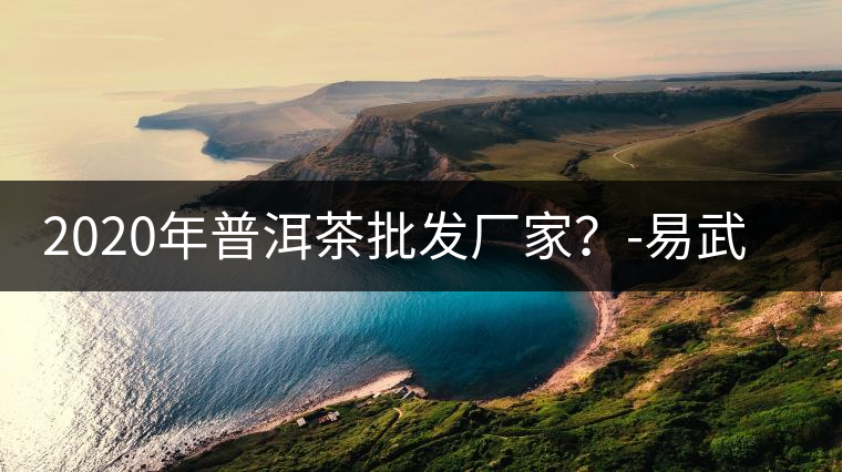 2020年普洱茶批發(fā)廠家？-易武中聘號(hào)