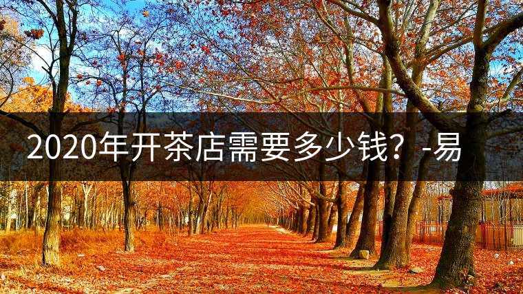 2020年開茶店需要多少錢？-易武中聘號