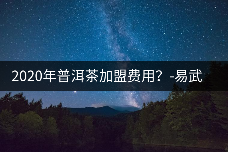 2020年普洱茶加盟費用？-易武中聘號