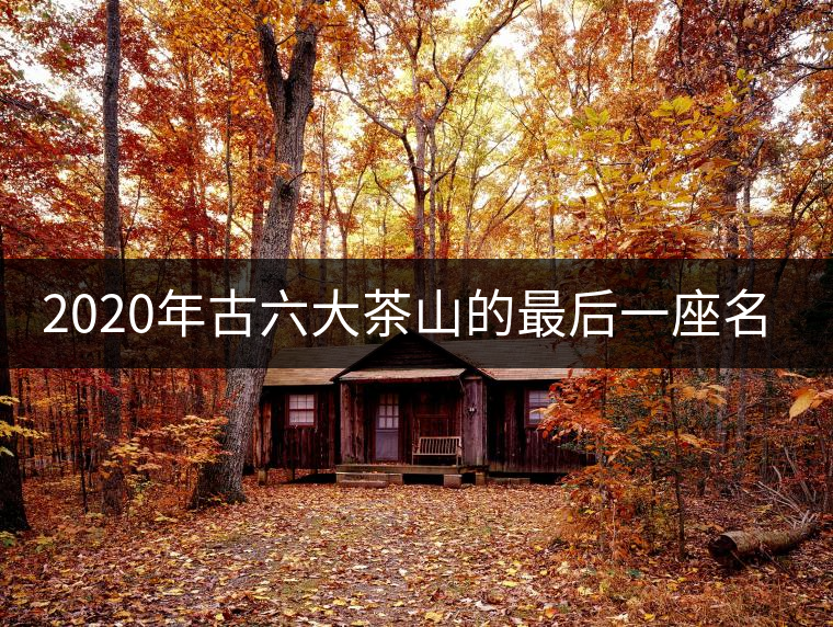 2020年古六大茶山的最后一座名山——攸樂山。-易武中聘號(hào)