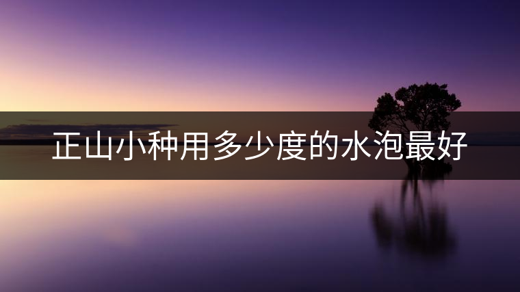 正山小種用多少度的水泡最好