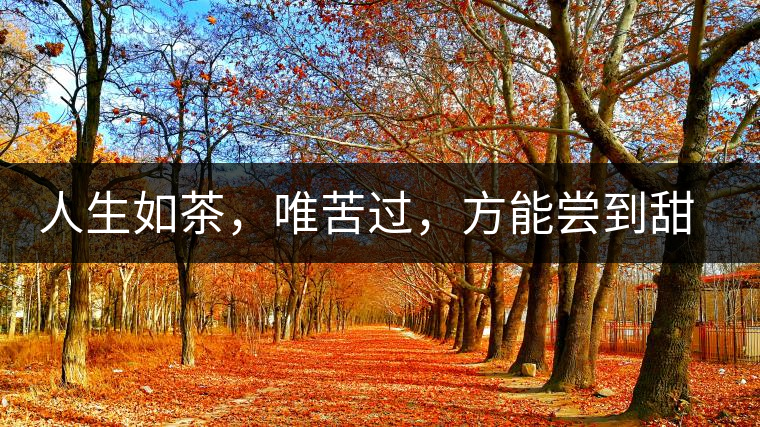人生如茶，唯苦過(guò)，方能?chē)L到甜滋味